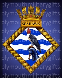 HMS Seahawk Magnet